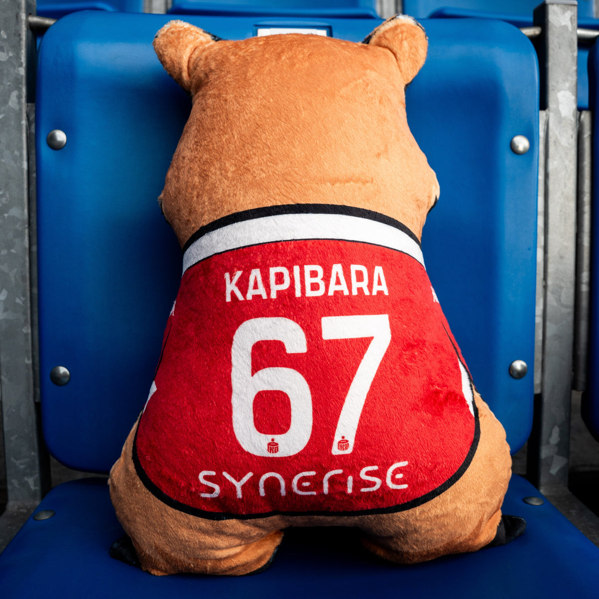 Poduszka kształt kapibara średnia - Official FanShop - TS Wisła Kraków SA