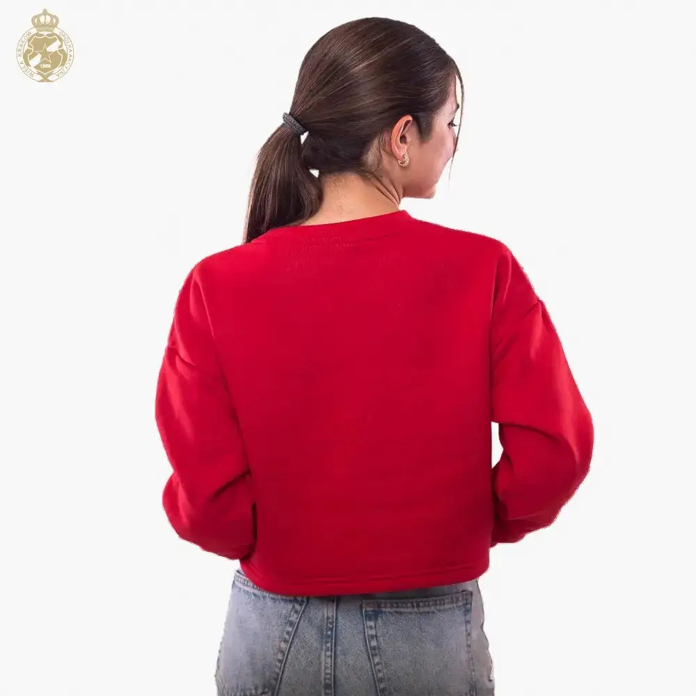 Person wearing a red sweatshirt from behind on a white background