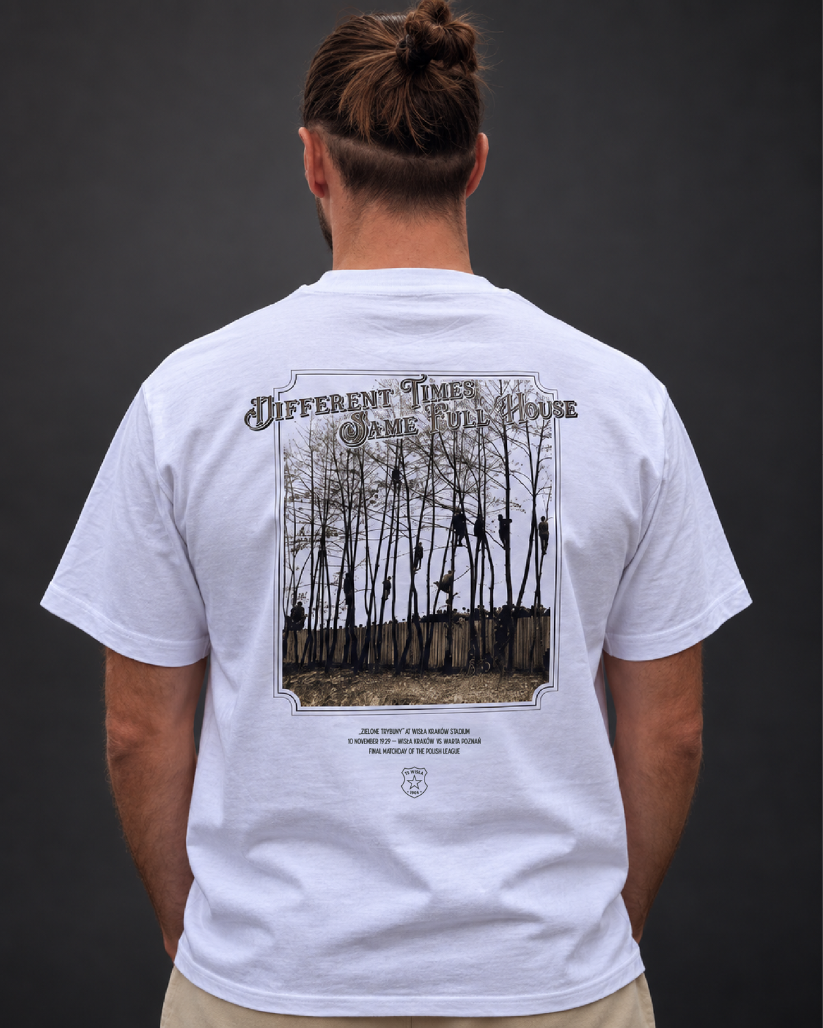 T-shirt zielone trybuny - biały - TS Wisła Kraków 1906 - Przestrzeń Białej Gwiazdy